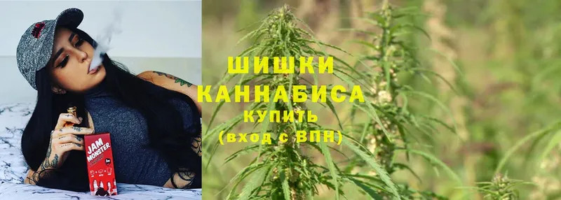 продажа наркотиков  Кировград  Конопля Bruce Banner 